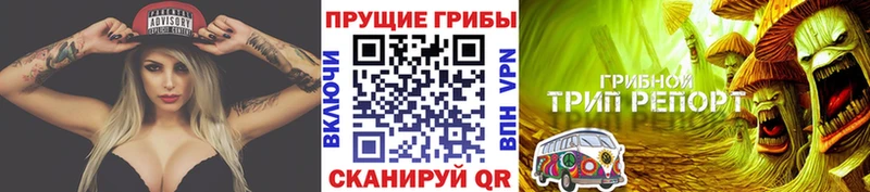 продажа наркотиков Котельнич Псилоцибиновые грибы ЛСД